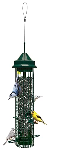 Squirrel Buster Classic Squirrel-proof Bird Feeder