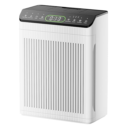 Evalit Air Purifier with Washable Filters