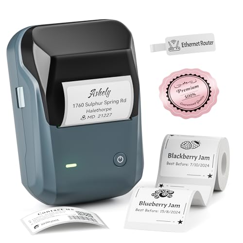 NIIMBOT B1 Portable Label Maker Printer