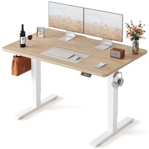 FEZIBO Electric Standing Desk 48x24 Inches
