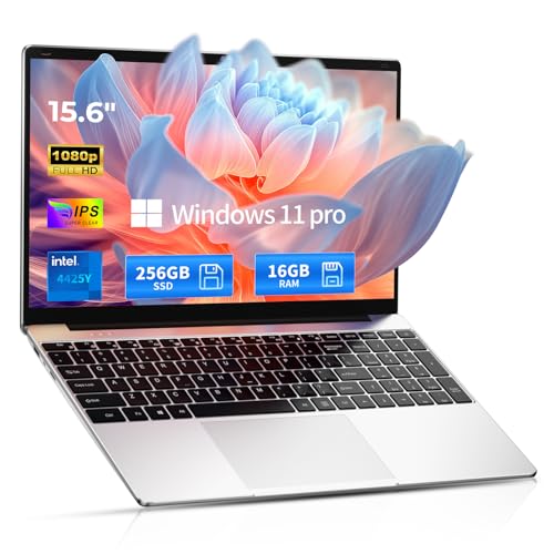 SAGAWHALE Windows 11 Pro Laptop 16GB/256GB