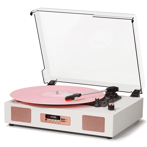Danfi Audio DF Vintage Bluetooth Turntable