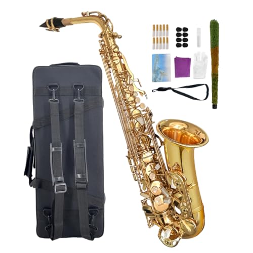 WUQIMUSC Alto Saxophone Beginner Kit