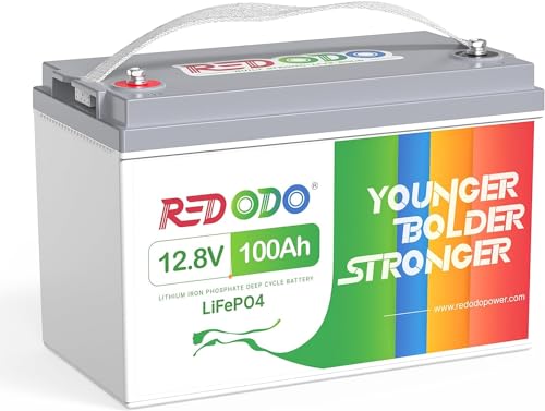 Redodo 12V 100Ah LiFePO4 Battery