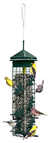 Brome Squirrel Solution200 Bird Feeder