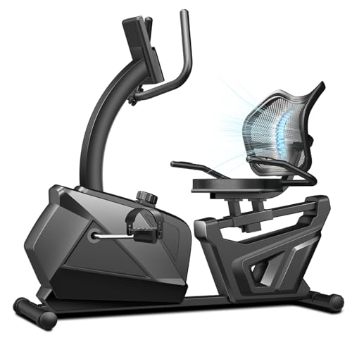 Cursor Fitness Recumbent Exercise Bike CBR80-01
