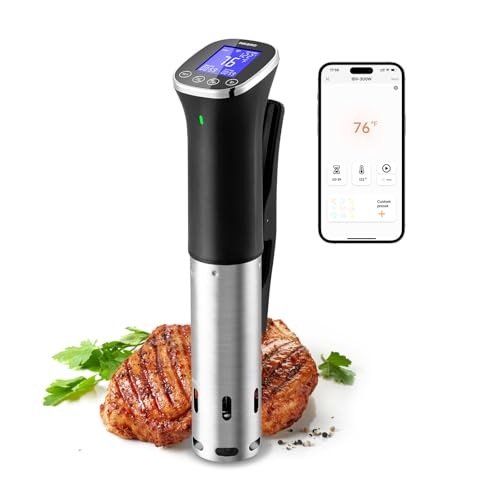 Inkbird WIFI Sous Vide Cooker ISV-300W