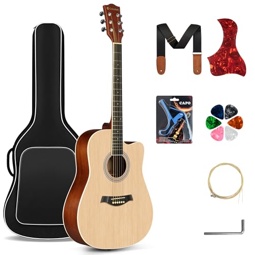 Cahaya Acoustic Guitar Beginner Kit 41in