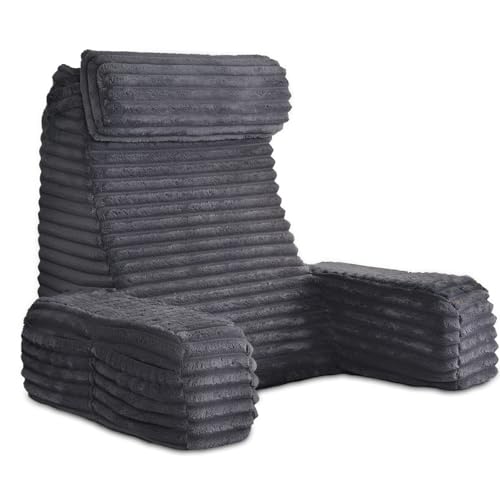 ENITYA XL Memory Foam Back Pillow
