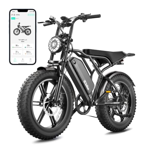TST 1500W Electric Bike with Fat Tires