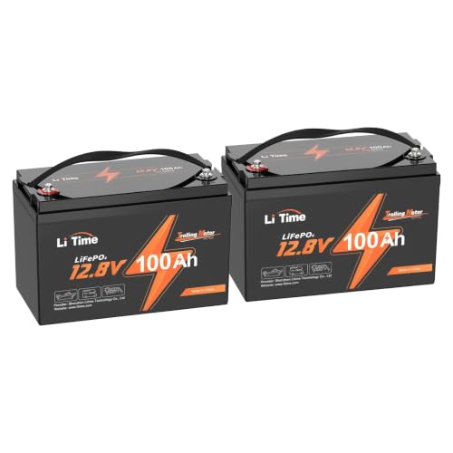 Litime TM LiFePO4 12V 100Ah Battery Pair