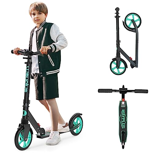 Wayplus Aquas Kick Scooter