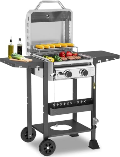 COWSAR 2-Burner Propane BBQ Grill