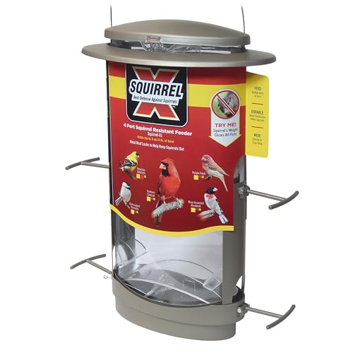 More Birds X-1 Squirrel-Proof Feeder
