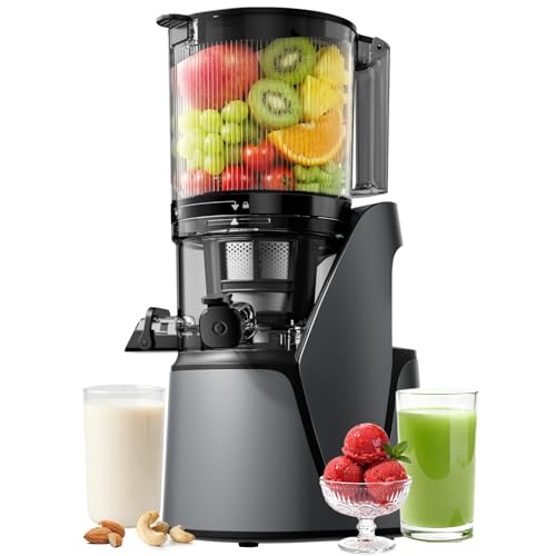 EanOruus 3-in-1 Cold Press Juicer