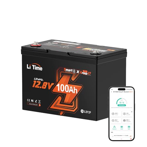 Litime 12V 100Ah Bluetooth LiFePO4 Battery
