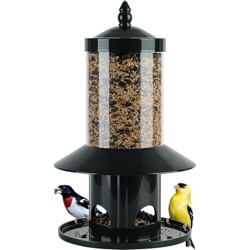 Dreamdrawer Squirrel Proof Bird Feeder