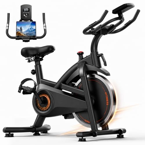 Cursor Fitness Exercise Bike
