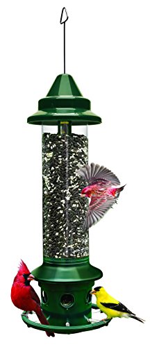 Brome Squirrel Buster Plus Bird Feeder