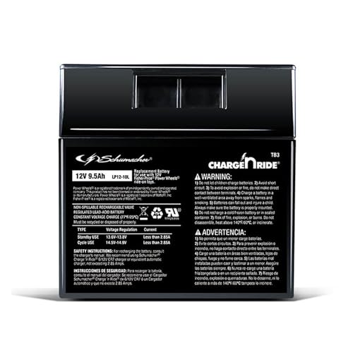 Schumacher Electric 12V Battery for Ride-On Toys