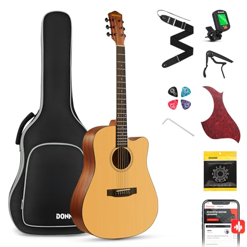 Donner 41” Acoustic Guitar Beginner Bundle DAG-1C/DAD-110C