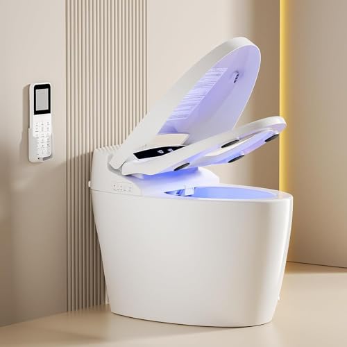 Loupusuo Smart Bidet Toilet with Dryer