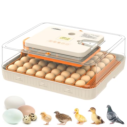 Egg Incubator with Auto Turner