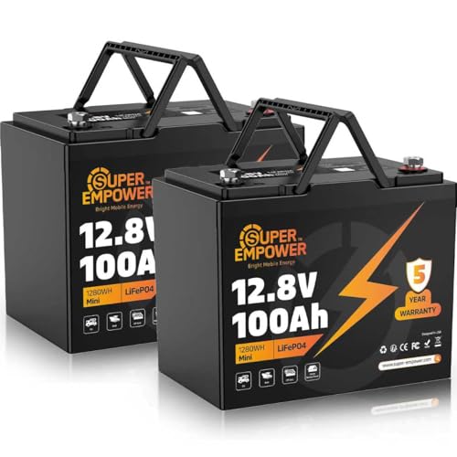 Super Empower 12V 100Ah LiFePO4 Battery Pack