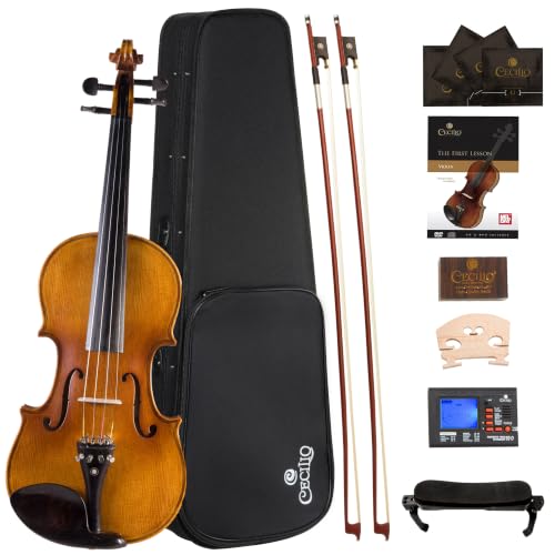 Cecilio Full Size Violin with Case and Rest