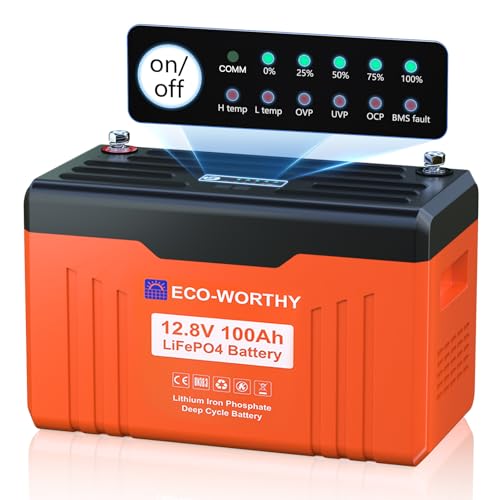 ECO-WORTHY LiFePO4 Lithium Battery with Bluetooth