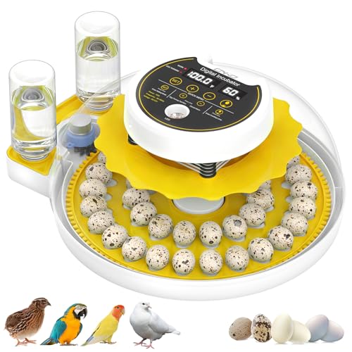 Quail Egg Incubator with Automatic Turner