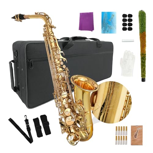 YoungMonic Alto Saxophone Beginner Kit