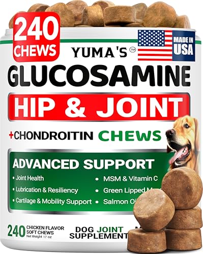 Glucosamine Chondroitin Chews for Dogs