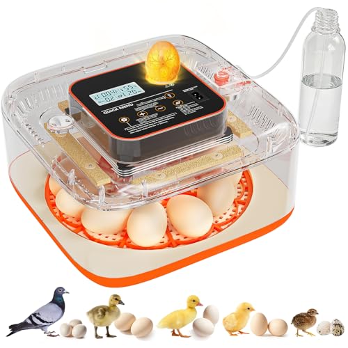 Automatic Egg Incubator with Digital Display