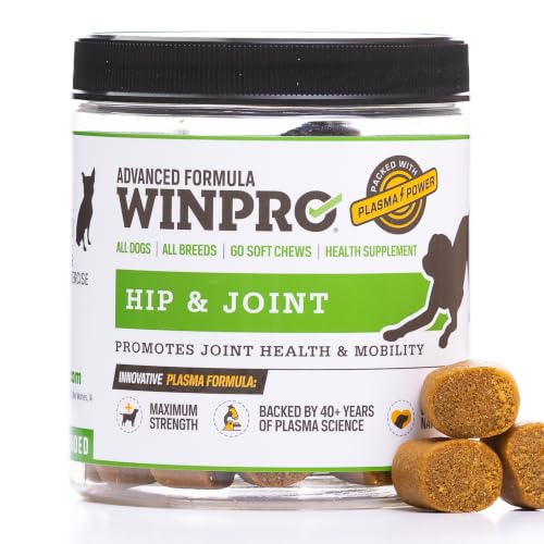 WINPRO Dog Hip & Joint Soft Chews