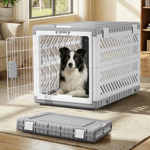 Collapsible Dog Crate with Wheels