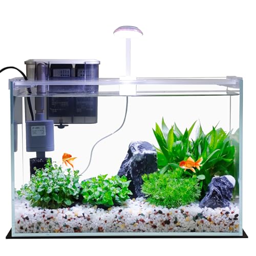 Vimvins 3 Gallon Betta Fish Tank Kit