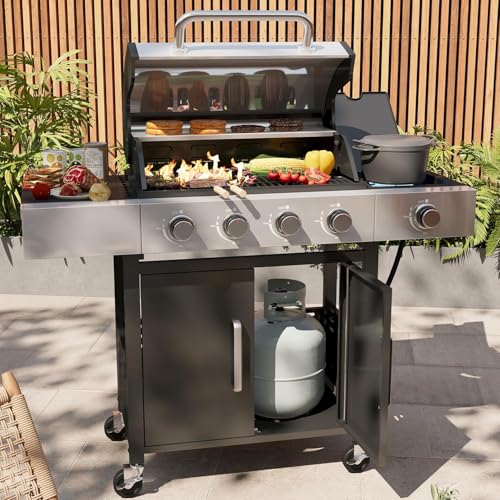 Aoxun 4-Burner Propane Gas Grill