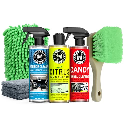 Wontolf Car Wash and Detailing Kit