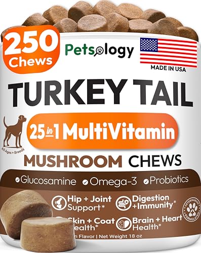 Turkey Tail Mushroom Supplement for Dogs