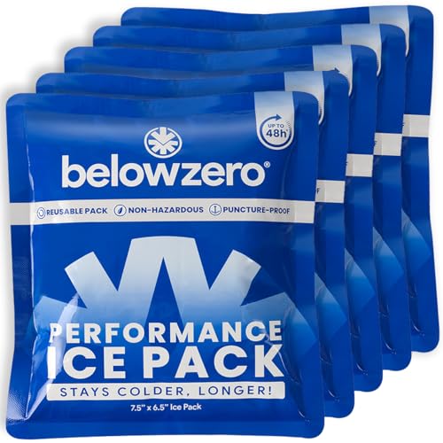 Below Zero Reusable Ice Packs 5-Pack