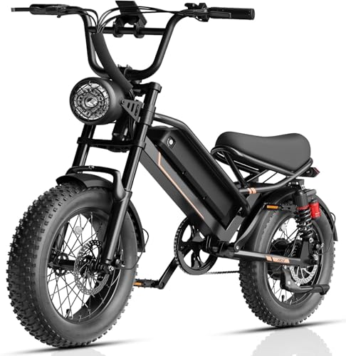Jasion Raven Black Electric Dirt Bike 3000W