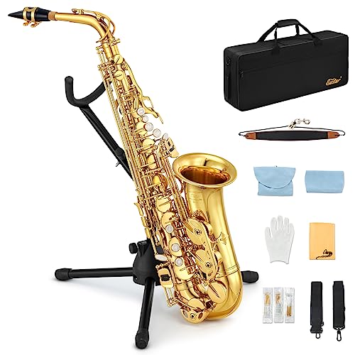 Eastar AS-Ⅱ Student Alto Saxophone Kit