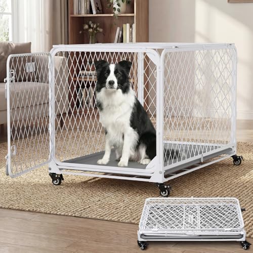 Gardner Pet Collapsible Dog Crate with Wheels