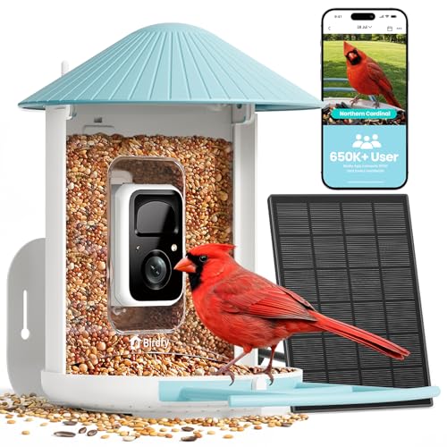 NETVUE Birdfy Smart Bird Feeder Camera