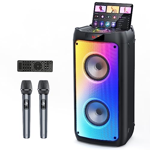 HWWR Karaoke Machine with Wireless Microphones