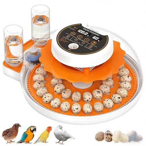 Quail Egg Incubator with Auto Turner and Humidity Control